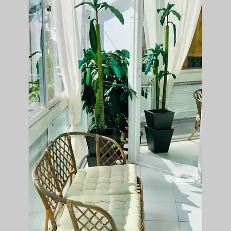 Begonia Center 230 By Namaste Elite * 토레몰리노스