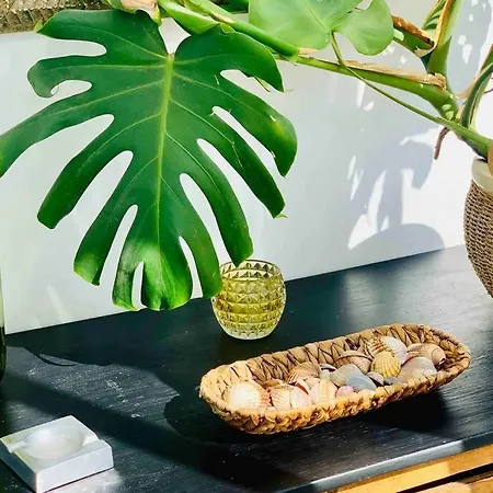 Begonia Center 230 By Namaste Elite Lejlighed Torremolinos
